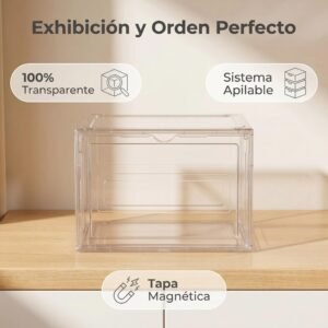 Caja organizadora zapatillas 1